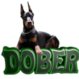 Dober_Bit